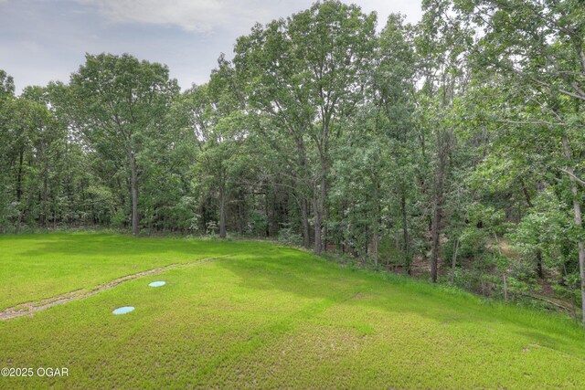 5077 Eagle Valley Dr, Joplin, MO 64804 - view of green lawn