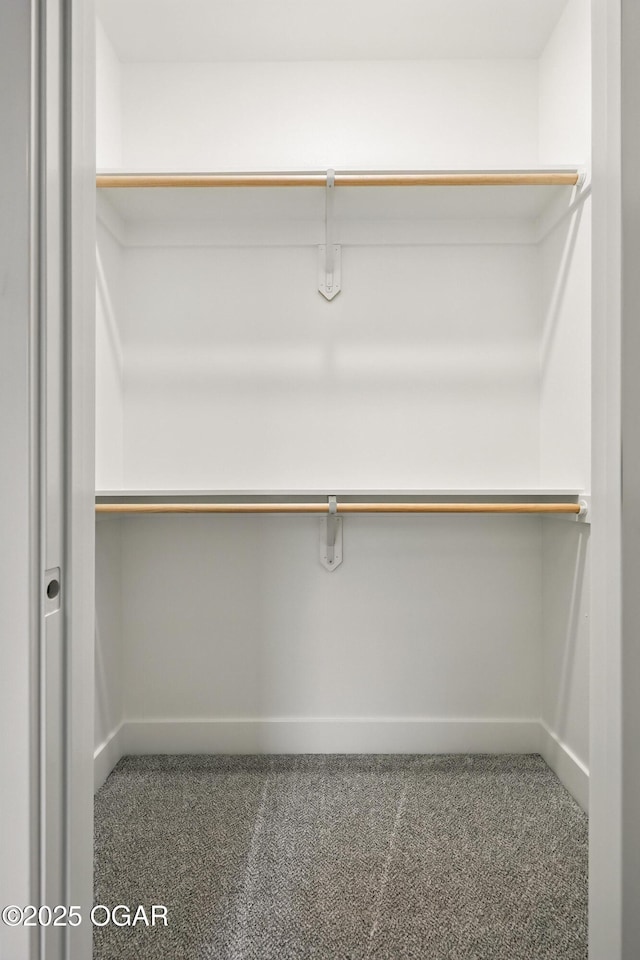 4402 Par Ln, Joplin, MO 64804 - walk in closet featuring carpet floors
