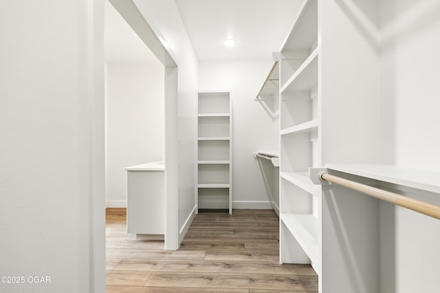 4402 Par Ln, Joplin, MO 64804 - walk in closet with light wood-type flooring