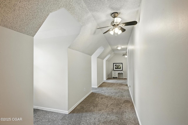 1317 Sheridan Dr, Joplin, MO 64801 - photo 29
