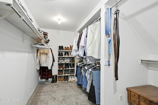 1317 Sheridan Dr, Joplin, MO 64801 - photo 7