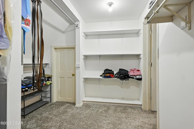 1317 Sheridan Dr, Joplin, MO 64801 - photo 8