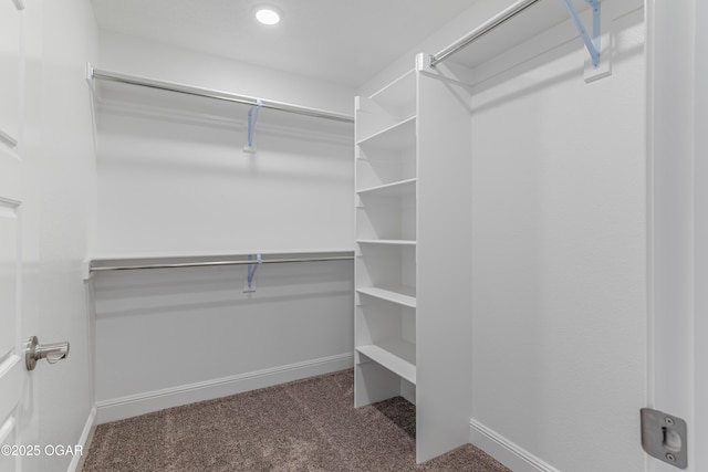1220 Sheila Ann Dr, Carthage, MO 64836 - walk in closet with carpet