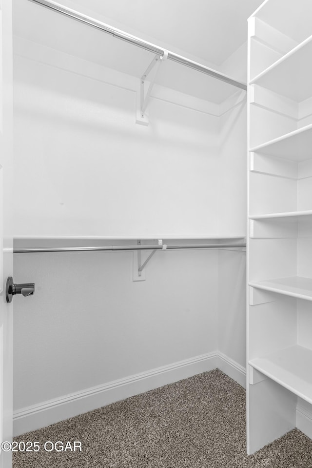 1224 Sheila Ann Dr, Carthage, MO 64836 - spacious closet featuring carpet floors