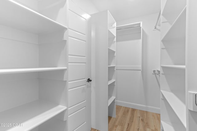 1224 Sheila Ann Dr, Carthage, MO 64836 - spacious closet with light wood-style floors