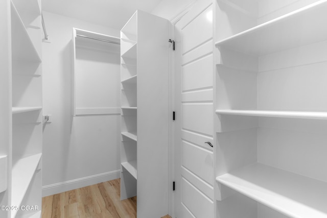 1224 Sheila Ann Dr, Carthage, MO 64836 - spacious closet featuring light wood-style flooring
