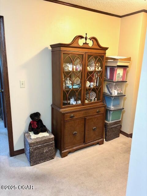 1606 Fairview Ave, Baxter Springs, KS 66713 - detailed view of carpet flooring and crown molding