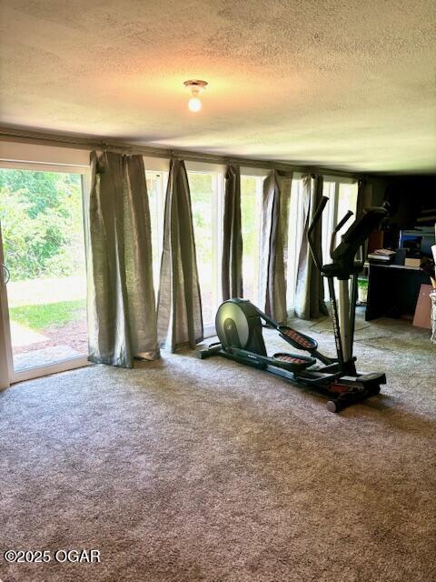 1606 Fairview Ave, Baxter Springs, KS 66713 - workout room with a textured ceiling and carpet flooring