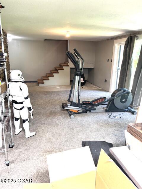 1606 Fairview Ave, Baxter Springs, KS 66713 - exercise room with carpet floors