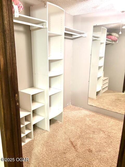 1606 Fairview Ave, Baxter Springs, KS 66713 - spacious closet featuring carpet floors