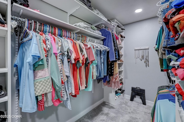 204 Split Rail Dr, Joplin, MO 64801 - walk in closet featuring carpet floors