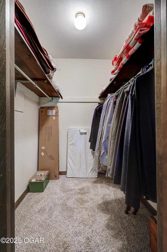 204 Split Rail Dr, Joplin, MO 64801 - walk in closet with carpet floors