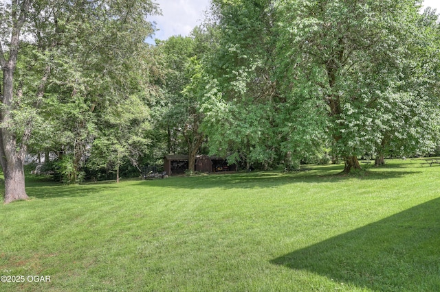 204 Split Rail Dr, Joplin, MO 64801 - view of green lawn
