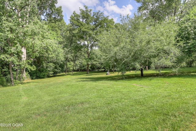204 Split Rail Dr, Joplin, MO 64801 - view of grassy yard