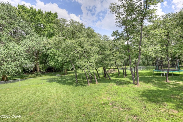 204 Split Rail Dr, Joplin, MO 64801 - view of yard with a trampoline and view of scattered trees