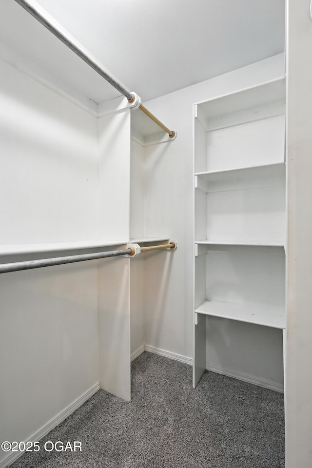 305 Anita Dr, Carl Junction, MO 64834 - walk in closet with carpet