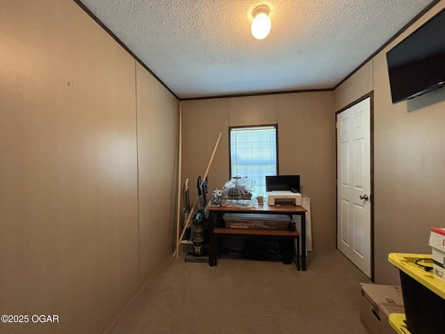 7575AND 7627 Amarillo Ln, Seneca, MO 64865 - office space featuring a textured ceiling, carpet, and crown molding