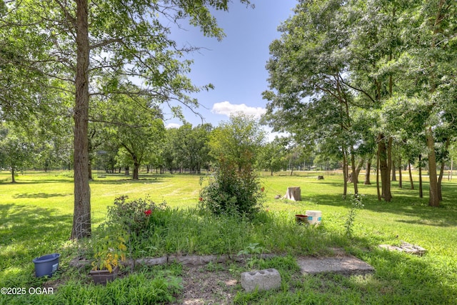 713 S Highschool Ave, Columbus, KS 66725 - photo 4