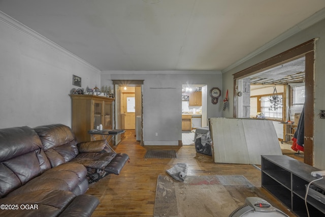 1021 Glendale Rd, Joplin, MO 64804 - living room featuring hardwood / wood-style flooring and ornamental molding