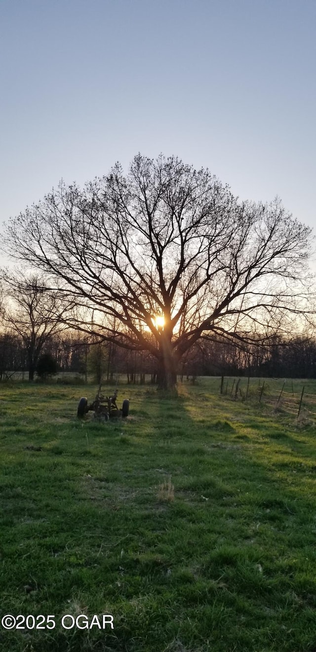 8773 County Rd 65, Reeds, MO 64859 - photo 16