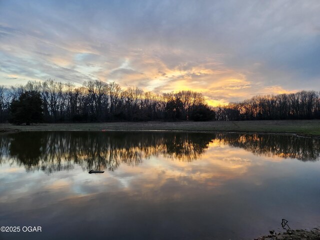 8773 County Rd 65, Reeds, MO 64859 - photo 19