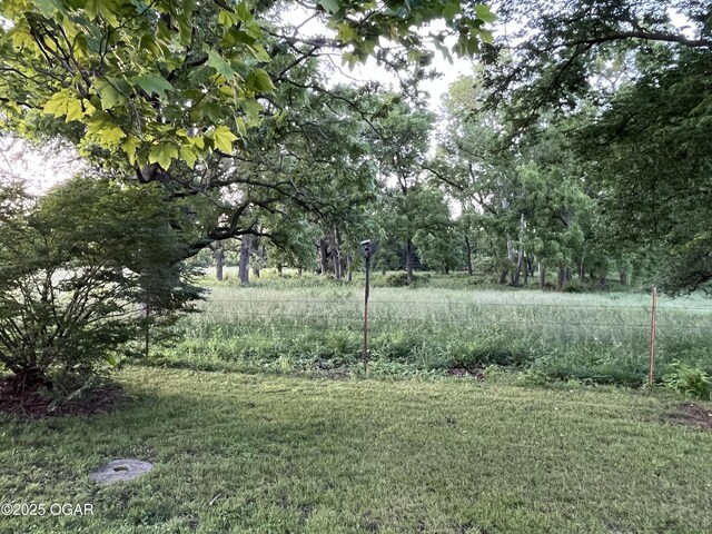 8773 County Rd 65, Reeds, MO 64859 - photo 20