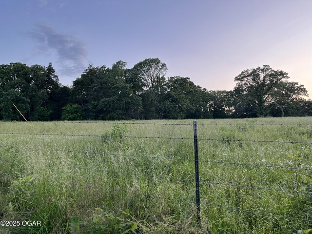 8773 County Rd 65, Reeds, MO 64859 - photo 22