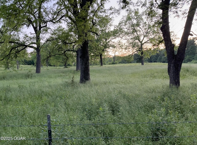 8773 County Rd 65, Reeds, MO 64859 - photo 23