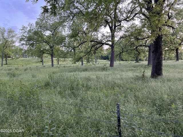 8773 County Rd 65, Reeds, MO 64859 - photo 24