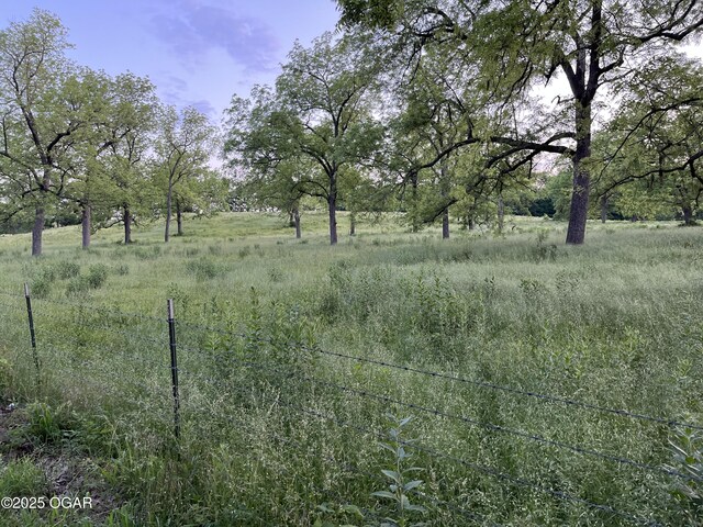 8773 County Rd 65, Reeds, MO 64859 - photo 25