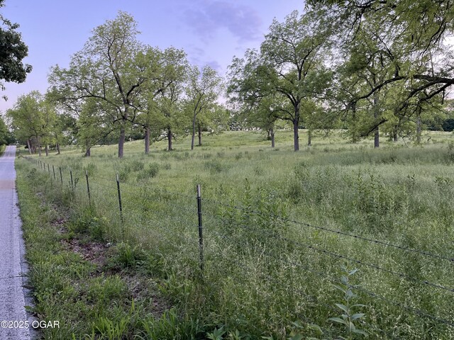 8773 County Rd 65, Reeds, MO 64859 - photo 26