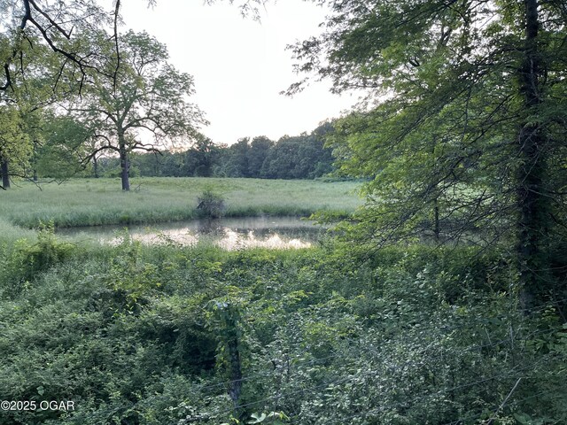 8773 County Rd 65, Reeds, MO 64859 - photo 27