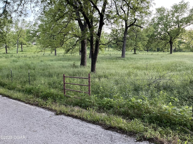 8773 County Rd 65, Reeds, MO 64859 - photo 30
