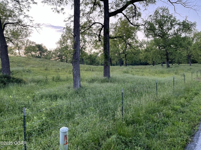 8773 County Rd 65, Reeds, MO 64859 - photo 29