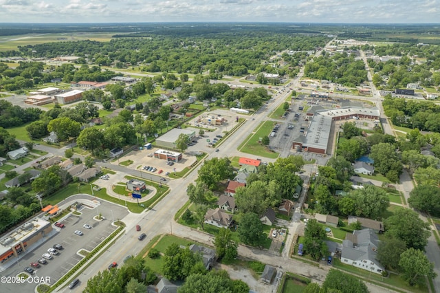 717 S Madison Ave, Webb City, MO 64870 - photo 9