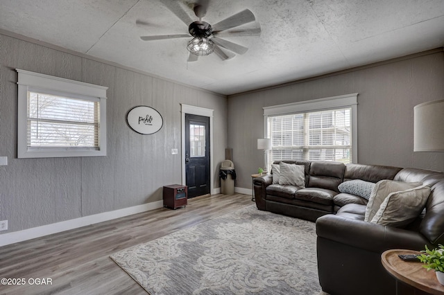 917 Monroe Cir, Carl Junction, MO 64834 - living room with wood finished floors and ceiling fan