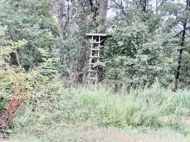 TBD Woodland Dr, Seneca, MO 64865