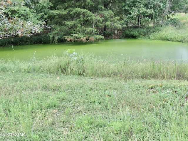 TBD Woodland Dr, Seneca, MO 64865