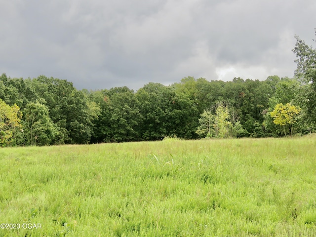TBD Woodland Dr, Seneca, MO 64865