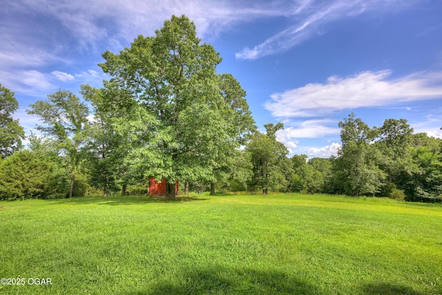 476 Pine Tree Dr, Pineville, MO 64856 - photo 6