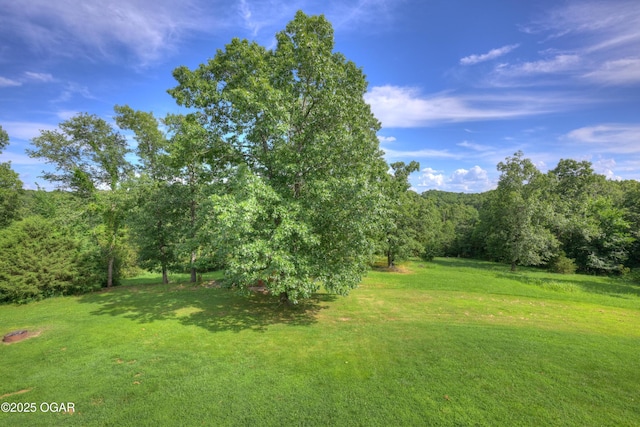 476 Pine Tree Dr, Pineville, MO 64856 - photo 36