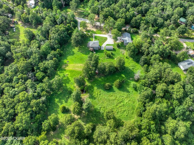 476 Pine Tree Dr, Pineville, MO 64856 - photo 80