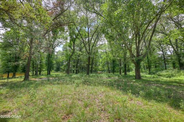 7341 Elm Dr, Joplin, MO 64804 - photo 34