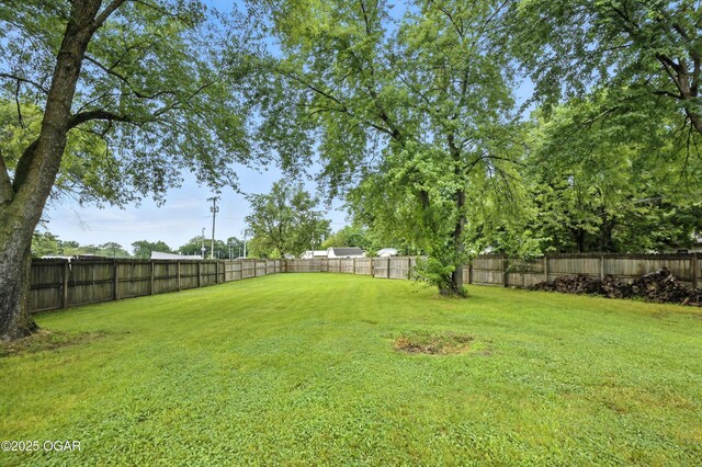 204 N Arlington Dr, Carl Junction, MO 64834 - photo 49