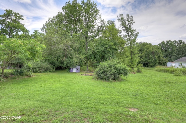 1123 Garden Grove Rd, Joplin, MO 64801 - view of grassy yard with a storage shed