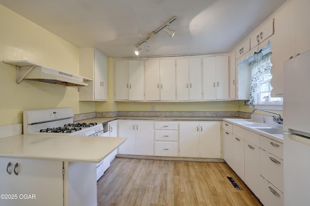 1123 Garden Grove Rd, Joplin, MO 64801 - kitchen featuring white appliances, range hood, rail lighting, light wood-style floors, and white cabinetry
