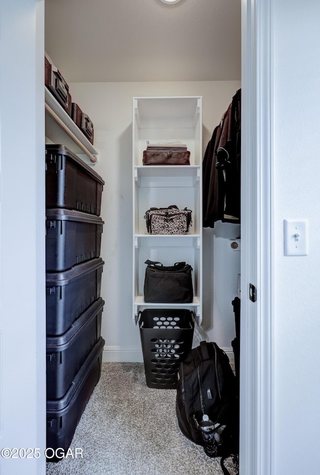 2008 Greydon Ln, Webb City, MO 64870 - spacious closet featuring carpet floors