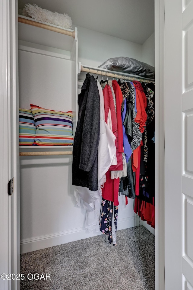 2008 Greydon Ln, Webb City, MO 64870 - walk in closet featuring carpet flooring