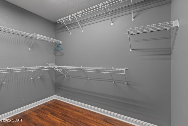 119 Jared Blvd, Webb City, MO 64870 - walk in closet featuring wood finished floors