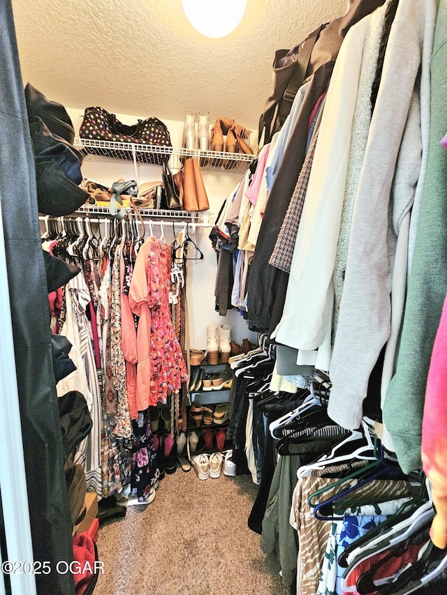 2813 Heartland Ave, Joplin, MO 64804 - spacious closet with carpet